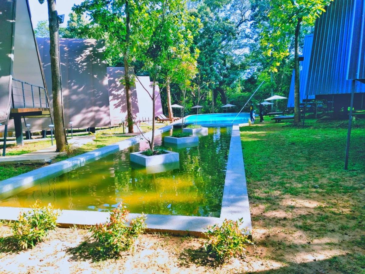 Kottawatta River Bank Resort Uda Walawe Extérieur photo